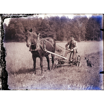 SLM X2148-78 - Jordbruksarbetare med hästdragen slåttermaskin