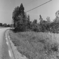 SLM M009136 - Skresta, norra gravfältets del från söder, foto våren 1968