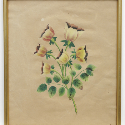 SLM 11998 8 - Akvarell, blommor, av Hilda Lundqvist (1858-1944)