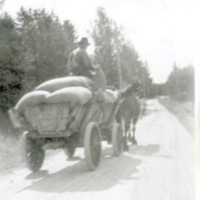 SLM M029237 - En häst med en lastad vagn.