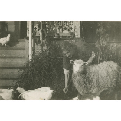 SLM P07-332 - Lisa Hall med ett får och höns