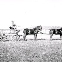 SLM Ö542 - Hästekipage med fyra hästar, kusk och vagn, Ökna säteri i Floda socken