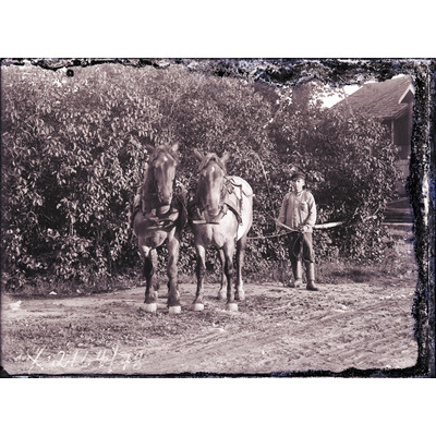 SLM X2164-78 - En pojke med två hästar på en åker