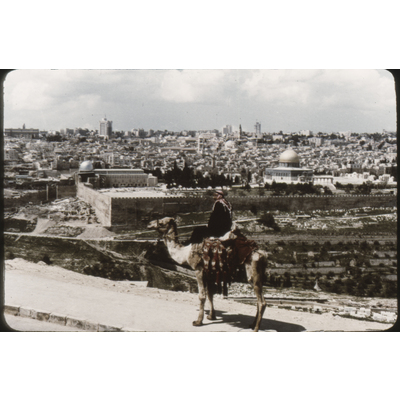 SLM DIA2017-007 - Vy från Olivberget i Jerusalem år 1987, man på kamel