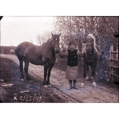 SLM X2165-78 - En man med två hästar