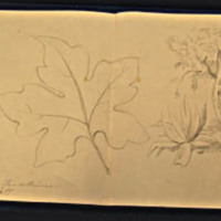 SLM 15097 35 - Blyertsteckning av Clara Sandströmer, gift Fleetwood