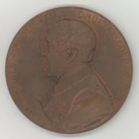 SLM 34853 - Medalj av brons, 