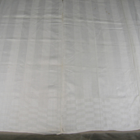 SLM 8753 - Duk av vitt linne, handvävd dräll, spegel med ränder, rutor på kortsidan