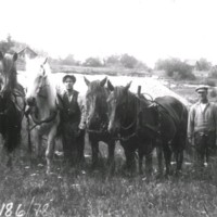 SLM X2186-78 - Arbetare med sina hästar på en åker