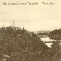 SLM M024074 - Vykort, Holmberget från Stadskällarens trädgård