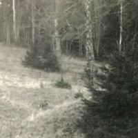 SLM M007295 - Tomten för Åbo bostad i Kila socken