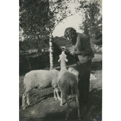 SLM P07-618 - Lisa Hall med fåren i hagen, 1932
