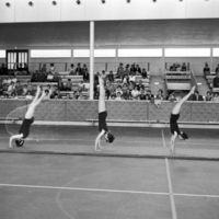 SLM OH0968-36-2 - Gymnastikuppvisning i Sporthallen i Nyköping 1961