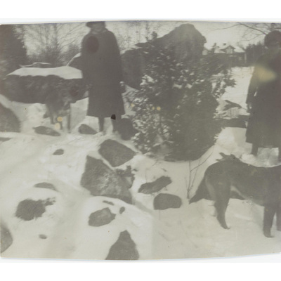 SLM P07-452 - Karin och Lisa Hall med hundar i vinterlandskap