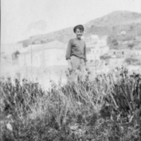 SLM P09-738 - ”Bland liljor”, Capri 1903