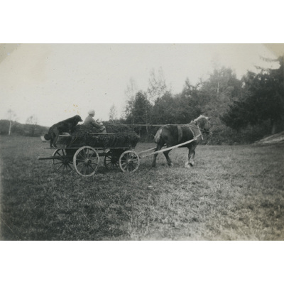 SLM P07-630 - Karin Hall kör häst och vagn, 1933
