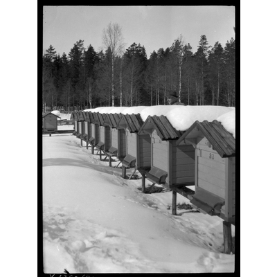 SLM X1380-80 - Bikupor i snön i Ösmo socken
