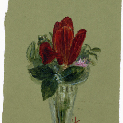 SLM 36575 10 - Akvarell, tulpan och blommor i vas, målat av Clara Sandströmer (1861-1942)