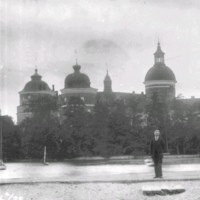 SLM X2496-78 - En man framför Gripsholms slott
