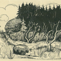 SLM 8577 - Teckning av Gösta Geerd