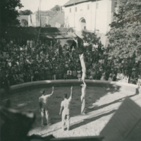 SLM P2014-951 - Cirkus Oscars år 1948