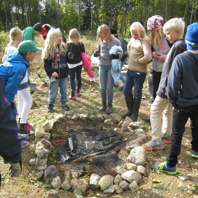 SLM D2015-1694 - Skapande skola, Björkegravfältet 2014
