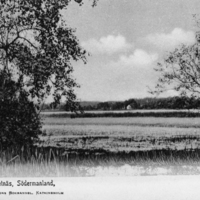 SLM P07-1913 - Vykort, Abbotnäs i Floda socken, tidigt 1900-talet