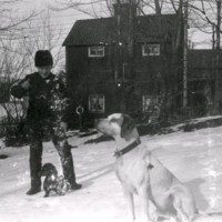 SLM M034071 - En pojke är ute i snön med sina hundar.