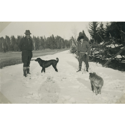 SLM P07-592 - Fritz Andersson och Karin Hall med hundar i snön