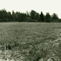 SLM B1-283 - Återupptäckt gravfält i Mälby
