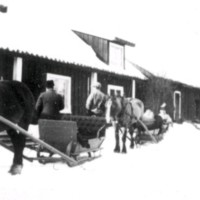 SLM R101-79-8 - Transport med häst och vagn i snön vid Solberga