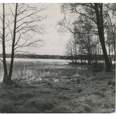 SLM A4-274 - Enstorp vid sjön Enaren, 1962.