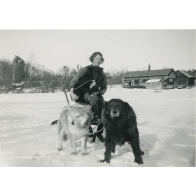 SLM P07-366 - Karin Hall med sina hundar, 1937