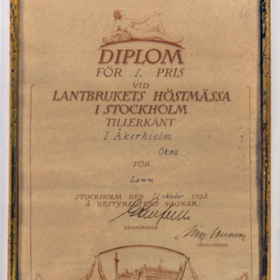 SLM 40335 - Diplom, 1:sta pris för lamm 1923, Ökna i Floda socken