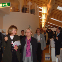 SLM D09-288 - Anna Lindh under EU-mötet år 2001