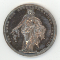 SLM 34812 1 - Medalj