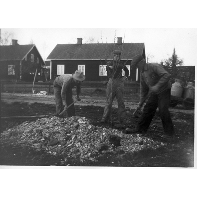 SLM R965-92-5 - Plantering av poppel på Hagbyberga, 1940-tal