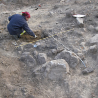 SLM 18196 - Arkeologisk undersökning fornlämningar Bettna socken