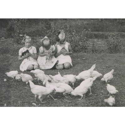 SLM P10-573 - Tre barn med kycklingar och höns