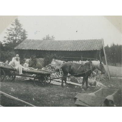 SLM P07-603 - Familjen Liljekvist åker häst och vagn, 1932