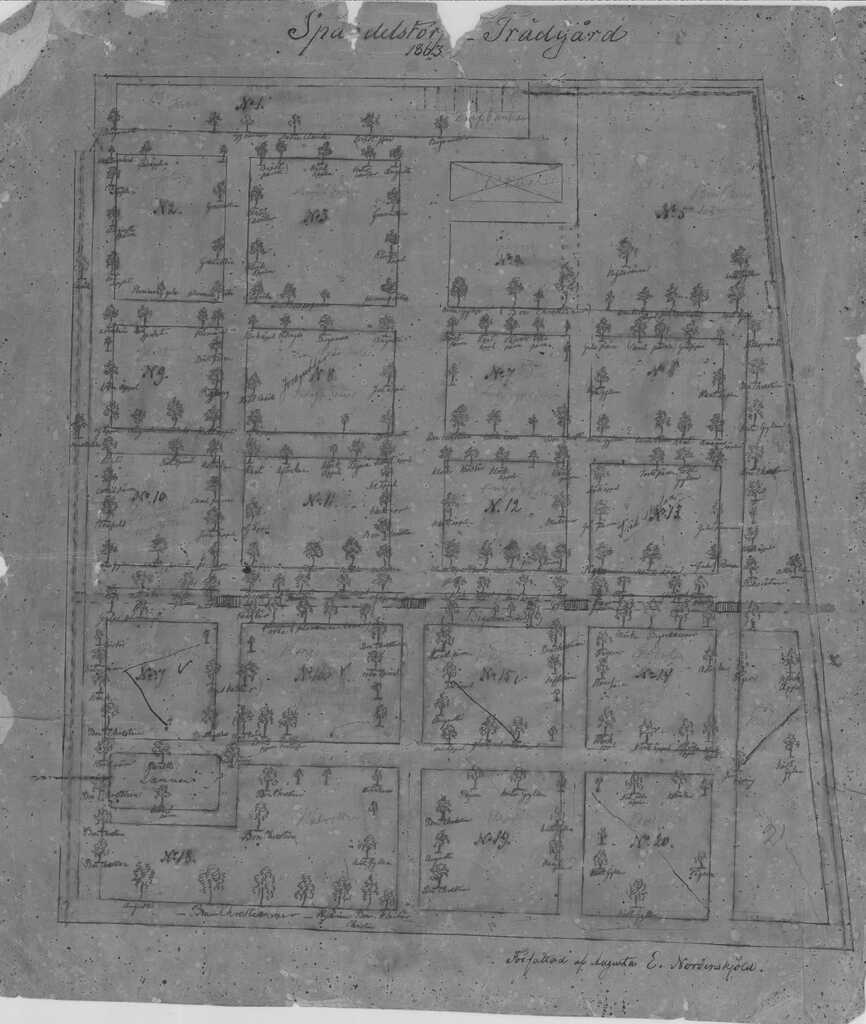 RK1164 Planritning över Spandeltorps trädgård 1863 med träd och växter angivna. Av Augusta E. Nordenskjöld-1.jpg