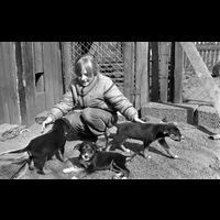 BLM Sba 19790510 a 35 - Barn leker med hundvalpar