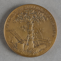 Blm 15649 1 - Medalj