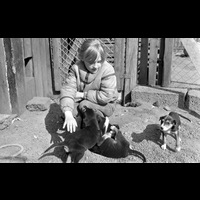 BLM Sba 19790510 a 34 - Barn med hundvalpar