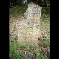 Blm D 50157 - Kyrkogård