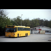 Blm D 2005 017 013 - Buss