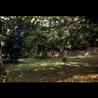 Blm D 2006 027 38 - Trädgård