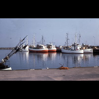 Blm EJ 1421 - Fiskehamn
