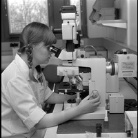 BLM Sba 19790419 c 08 - Kvinna med mikroskop