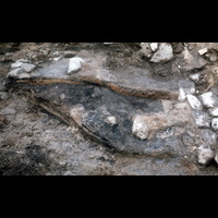 Blm D 7183 - Arkeologi